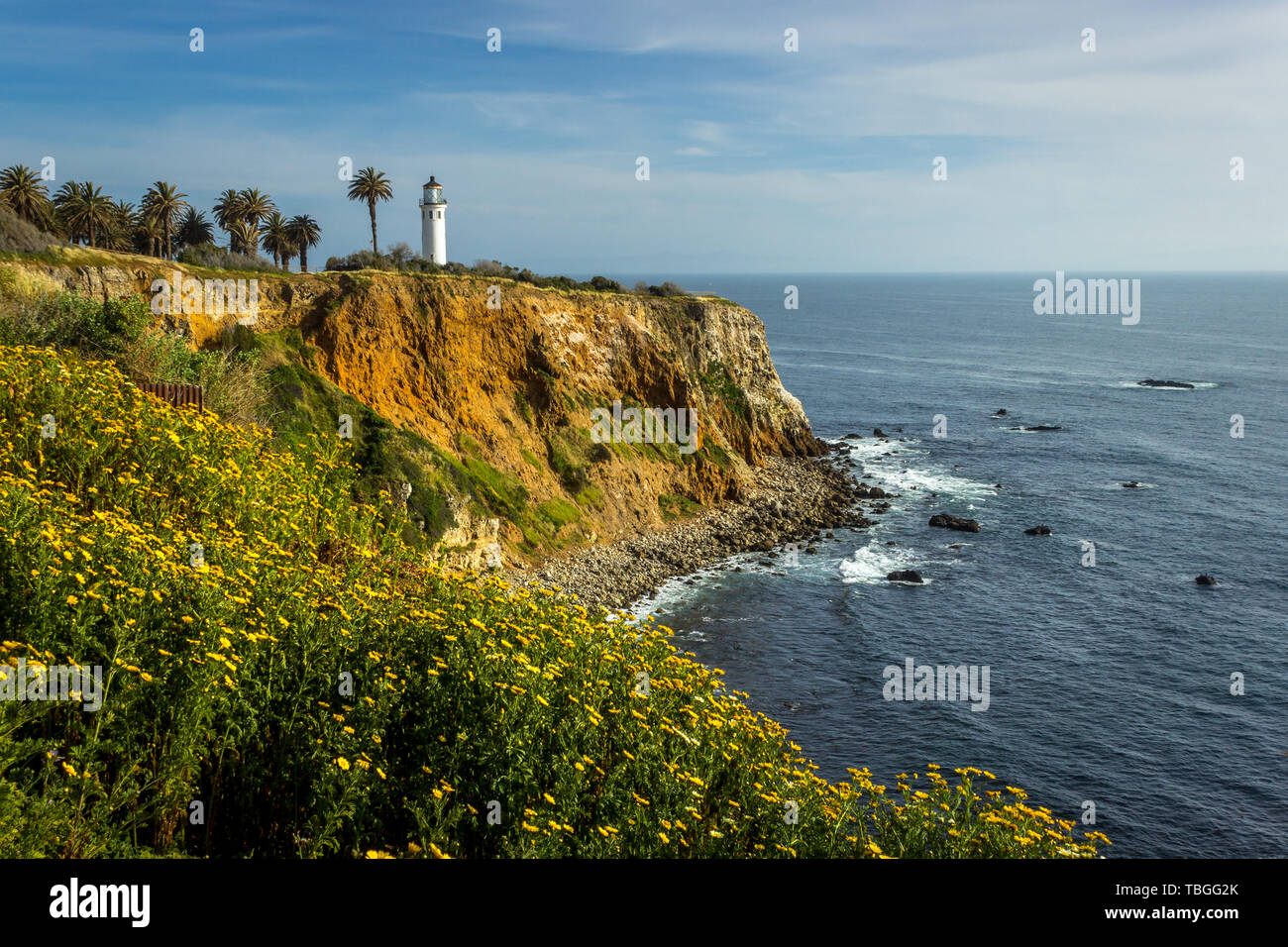 Point Vicente Leuchtturm auf der hohen Klippe mit schönen Wildblumen bedeckt während der Kalifornien Super Bloom von 2019, Rancho Palos Verdes, Califor Stockfoto