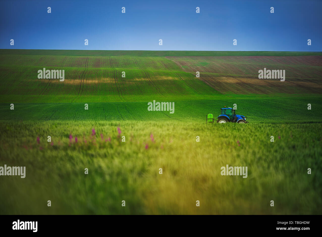 Landwirtschaftlichen Traktor Pflügen und Spritzen auf dem Feld. Stockfoto