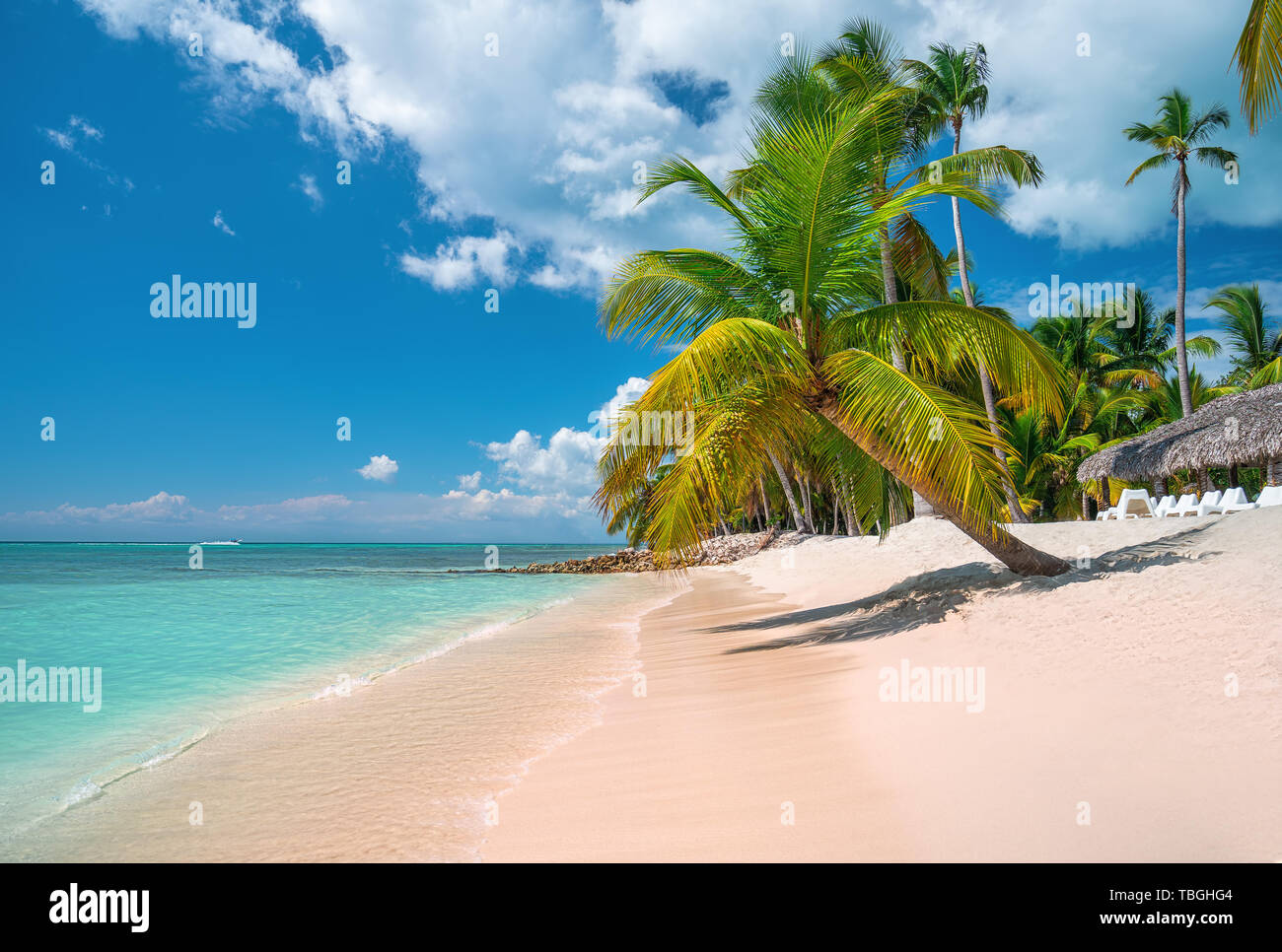 Tropische Karibik Insel Saona, Dominikanische Republik. Schöner Strand, Palmen und Meer. Stockfoto