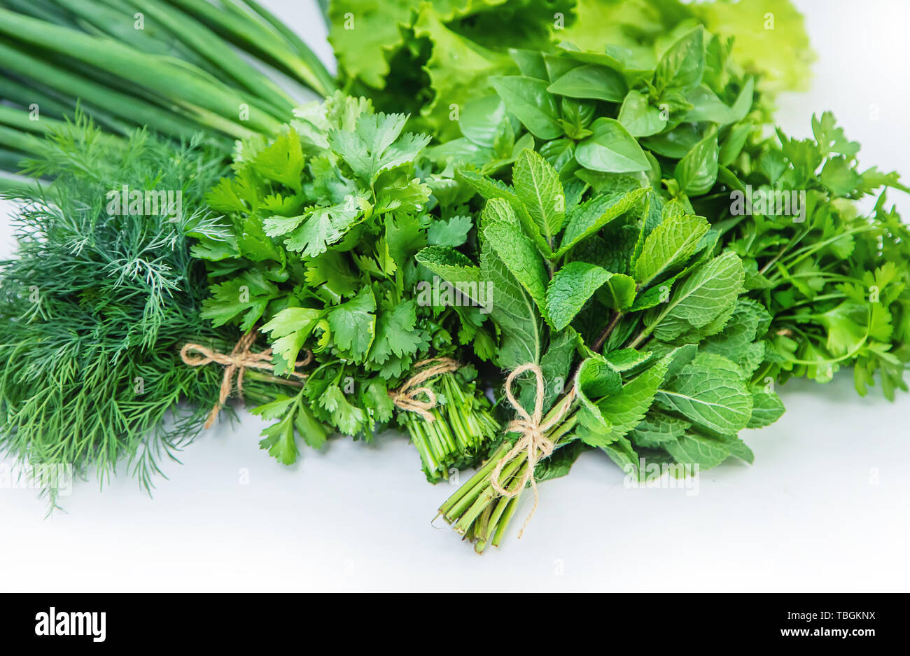 Frische hausgemachte Grüns aus dem Garten. Selektiver Fokus isolieren. Natur. Stockfoto