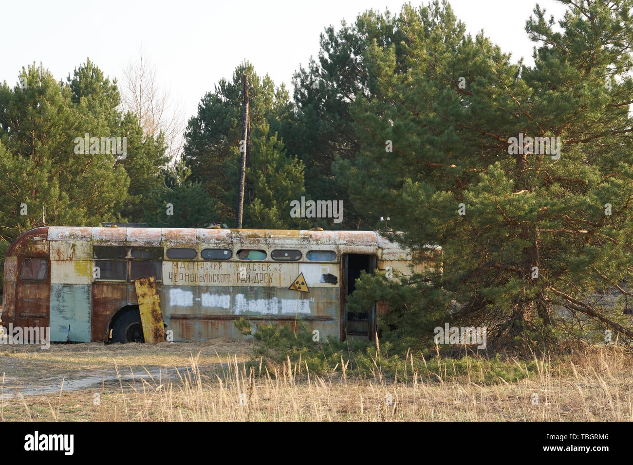 Old School Bus als Versteck Stockfoto