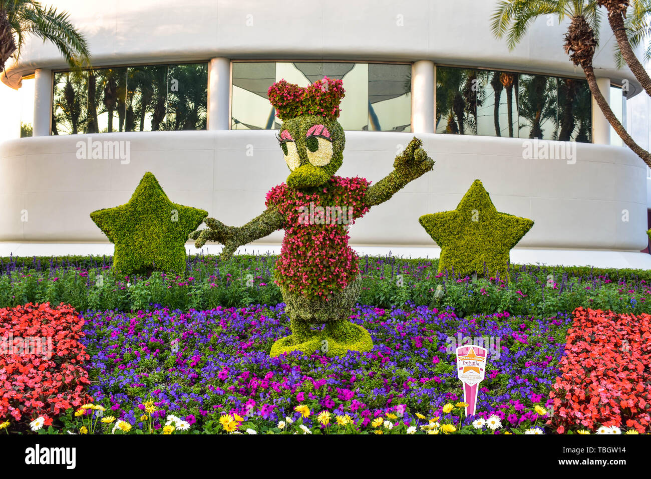 Orlando, Florida. März 27, 2019. Daisy Duck topiarie auf bunten Landschaft in Epcot in Walt Disney World (2) Stockfoto