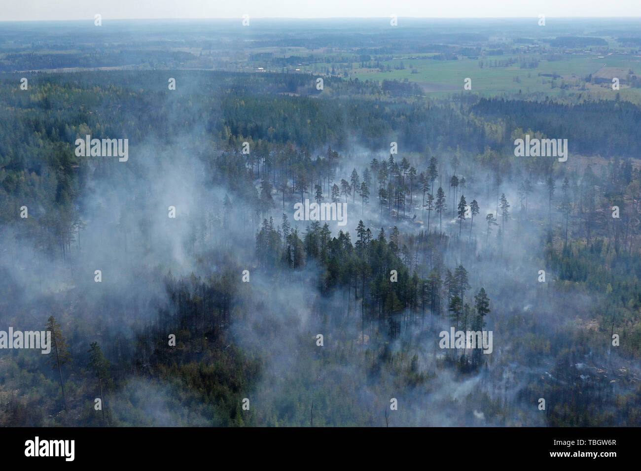 Drone Bild der Waldbrand nördlich von Tjällmo, Schweden. Stockfoto