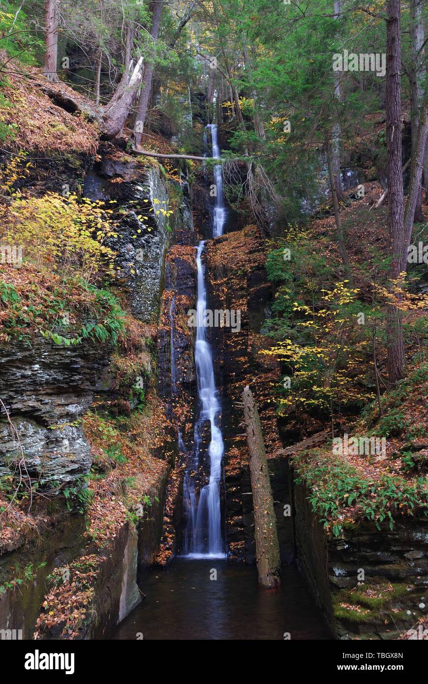 Herbst-Wasserfall in den Bergen mit Laub und Wäldern über Felsen. Silver Thread Stürze aus Bushkill fällt. Stockfoto