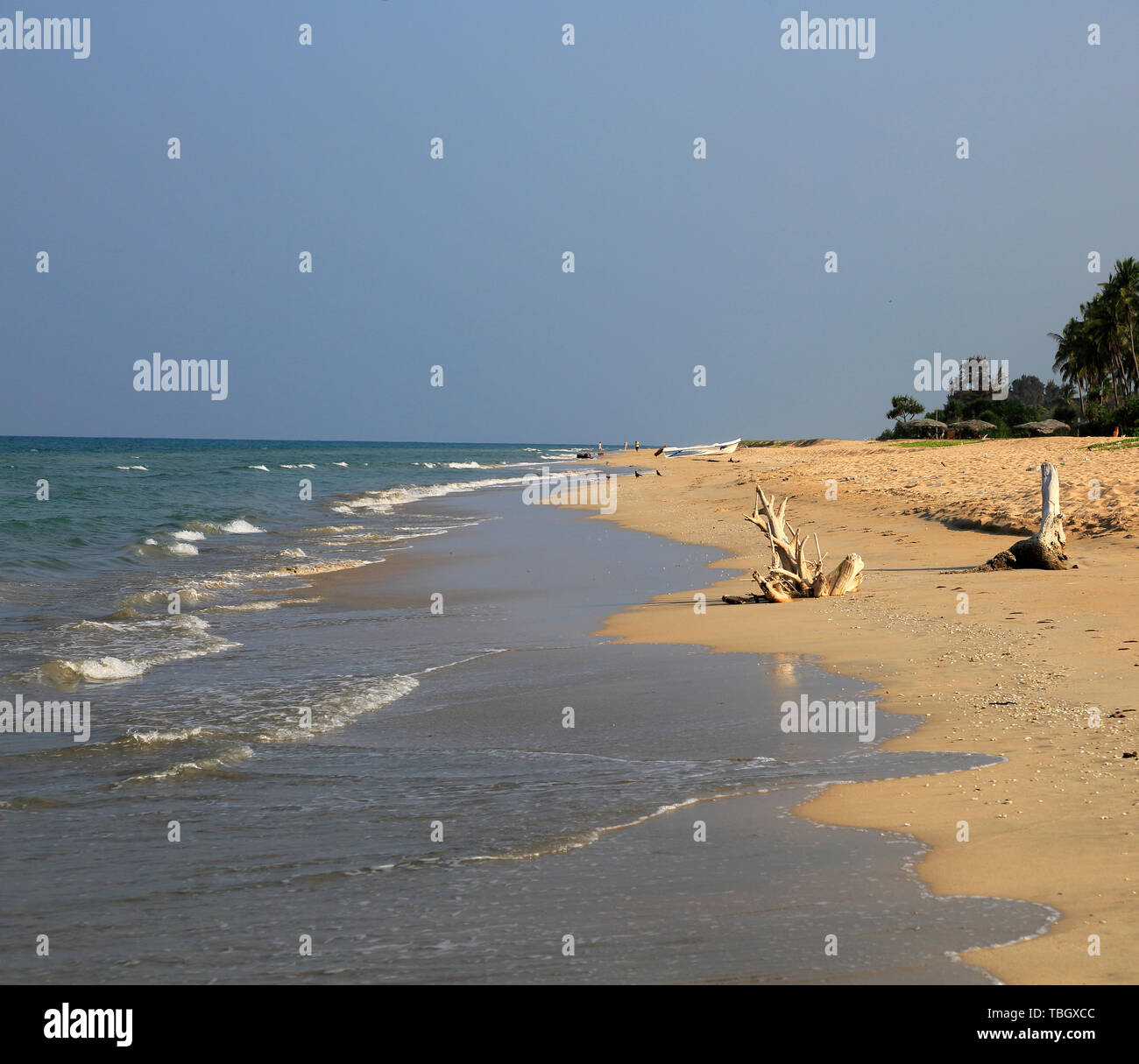 Meer und Sandstrand tropischen Strand bei Nilavelli, Trincomalee, Sri Lanka, Asien Stockfoto