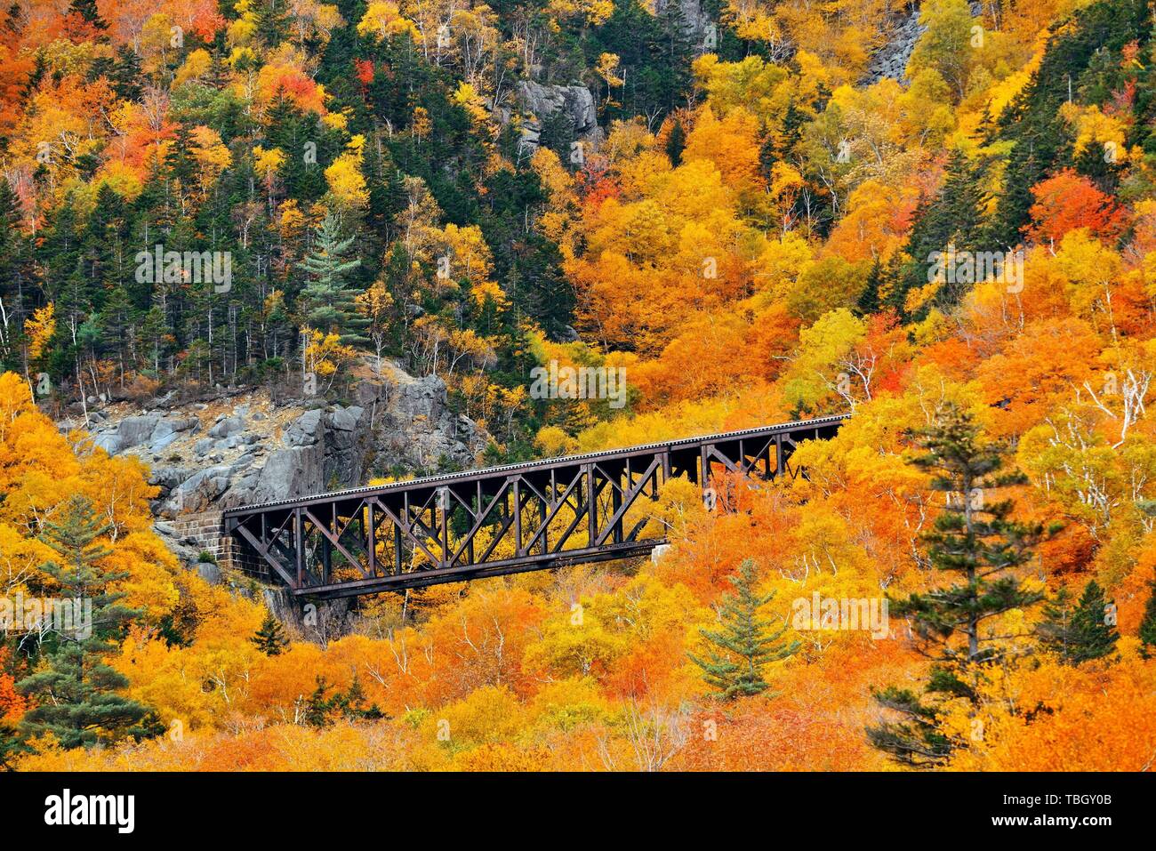Buntes Herbstlaub und Eisenbahn Brücke in White Mountain, New Hampshire. Stockfoto