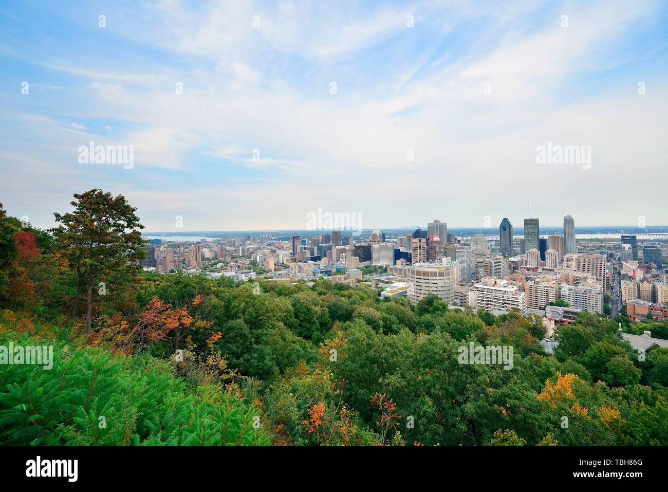Montreal-Tagesansicht vom Mont Royal mit Skyline der Stadt Stockfoto