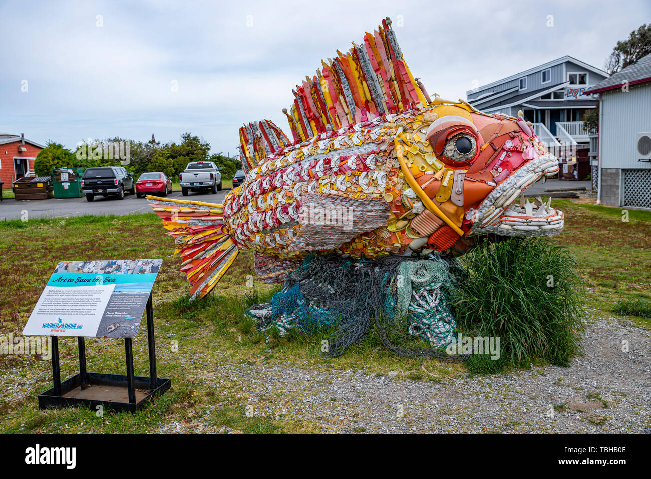 Henry die Fische aus recyceltem Kunststoff an Land in Altstadt Bandon gewaschen. Bandon, Oregon Stockfoto