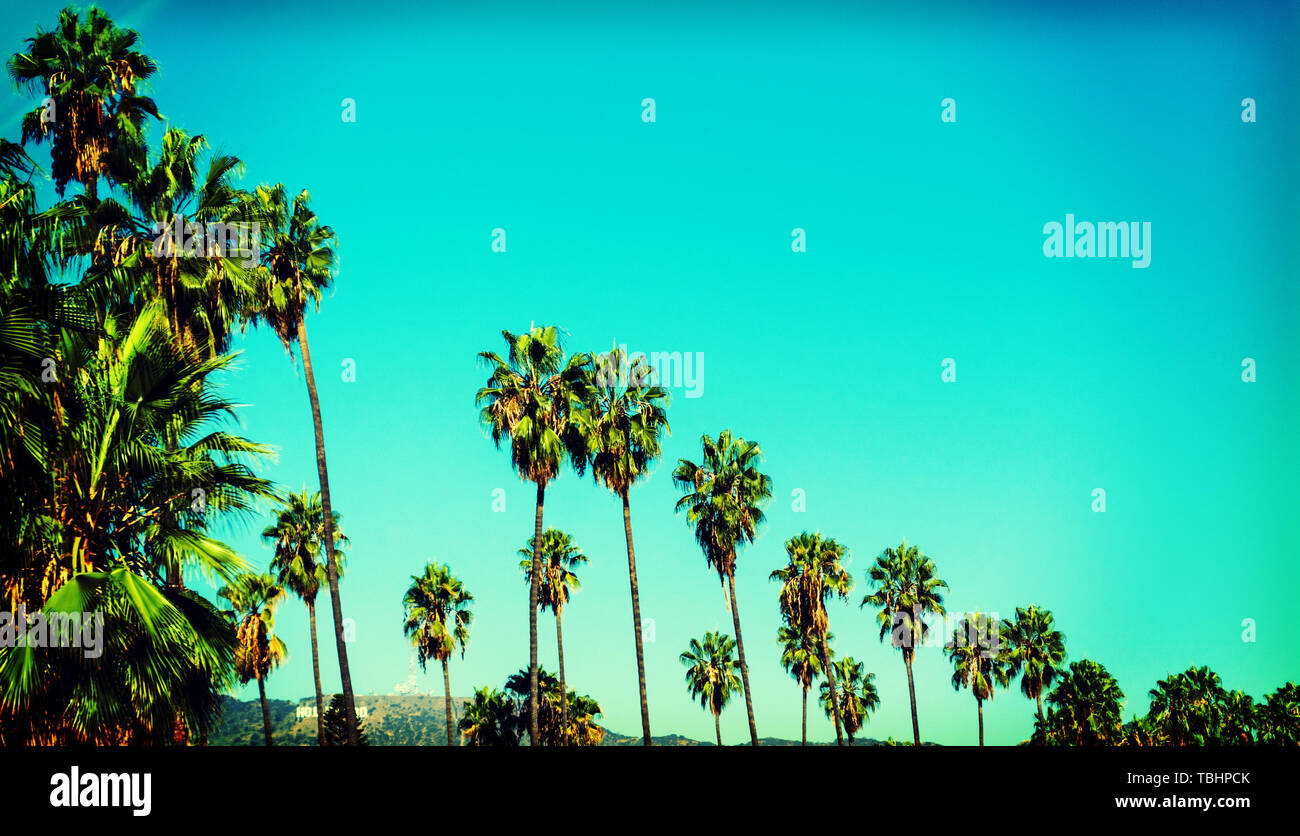 Palmen mit weltberühmten Hollywood Zeichen auf dem Hintergrund, Los Angeles. Southern California, USA Stockfoto