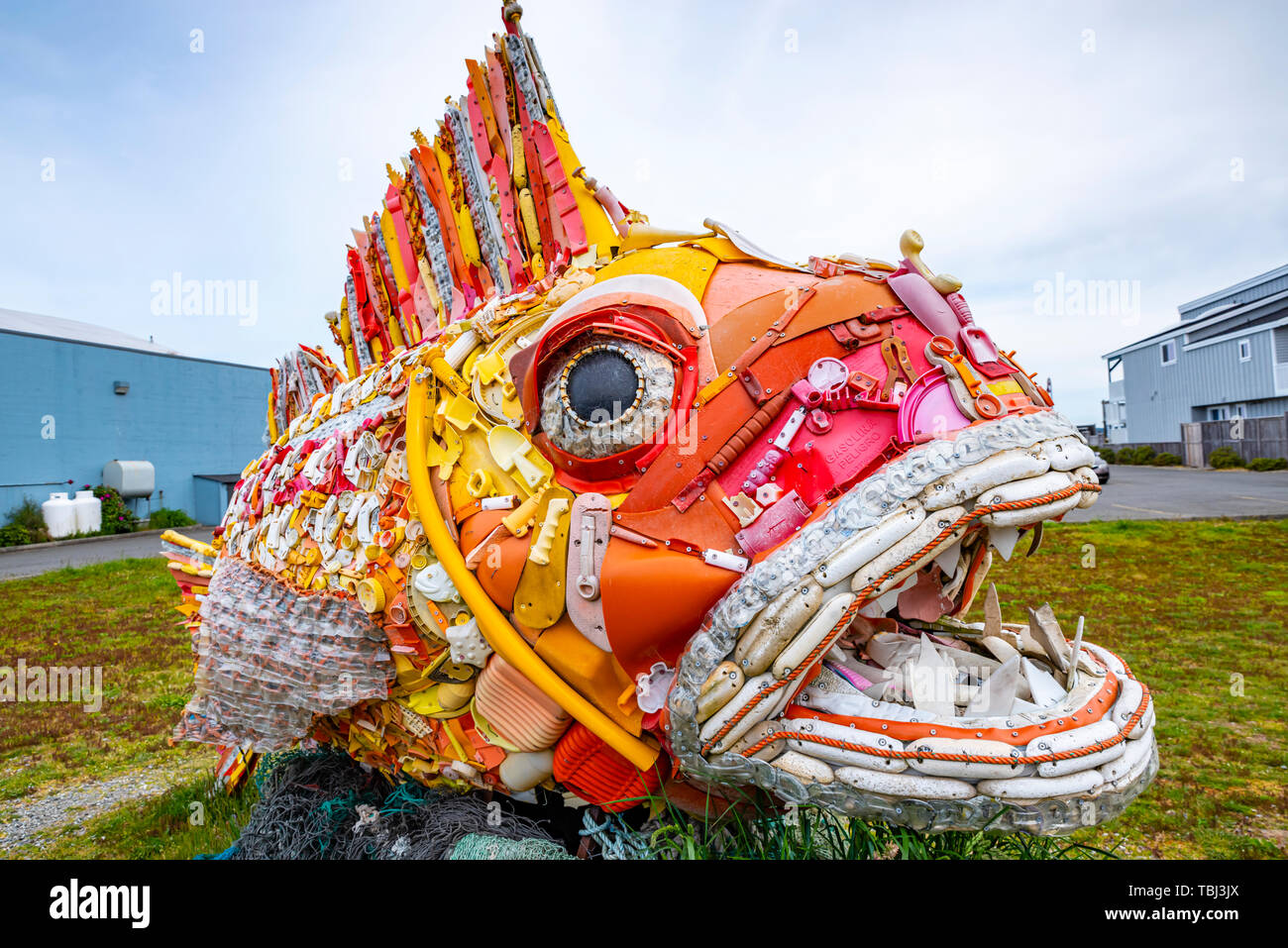 Henry die Fische aus recyceltem Kunststoff an Land in Altstadt Bandon gewaschen. Bandon, Oregon Stockfoto