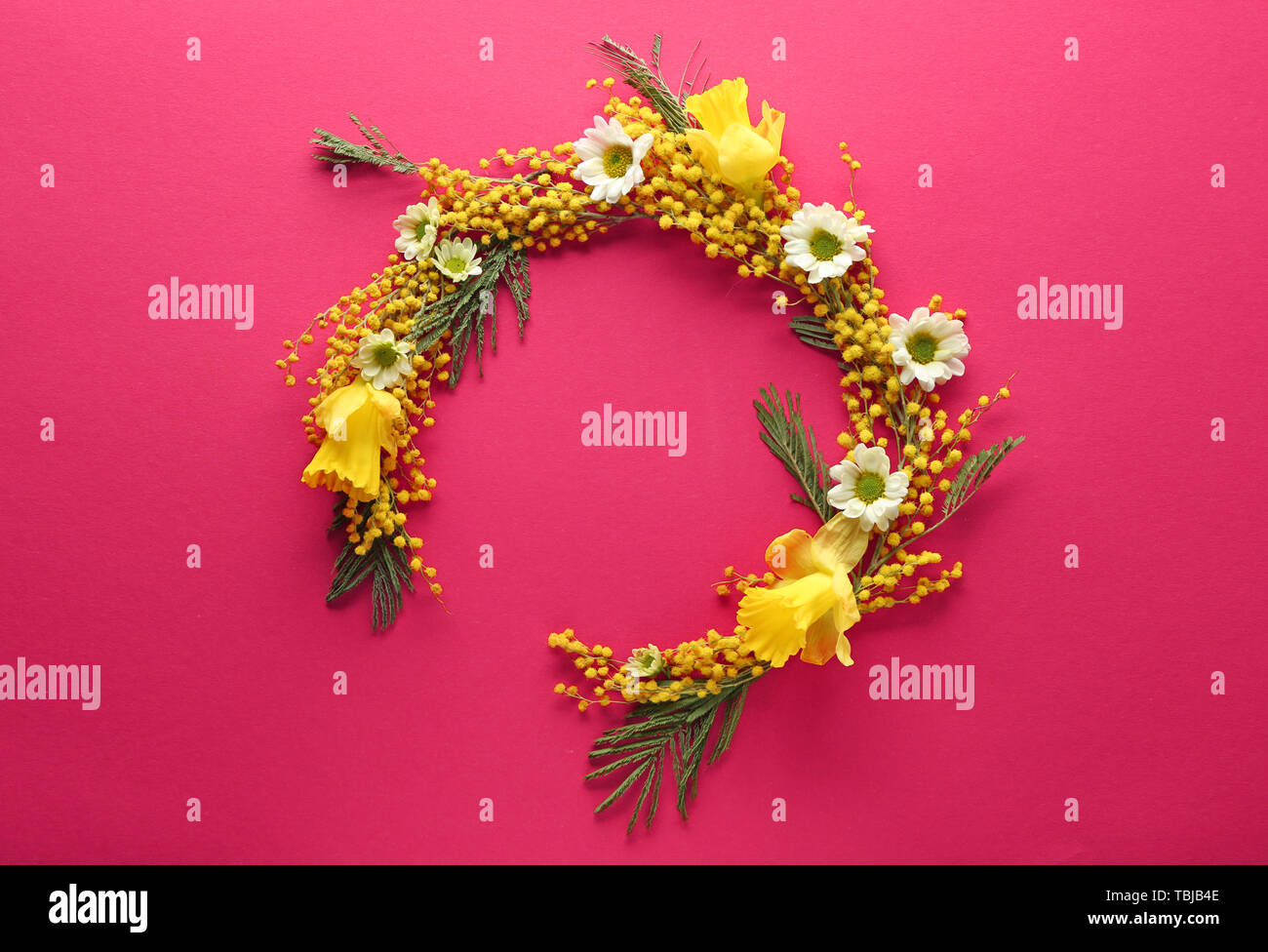 Wunderschöne florale Komposition mit Mimosen, Blumen auf farbigen Hintergrund Stockfoto