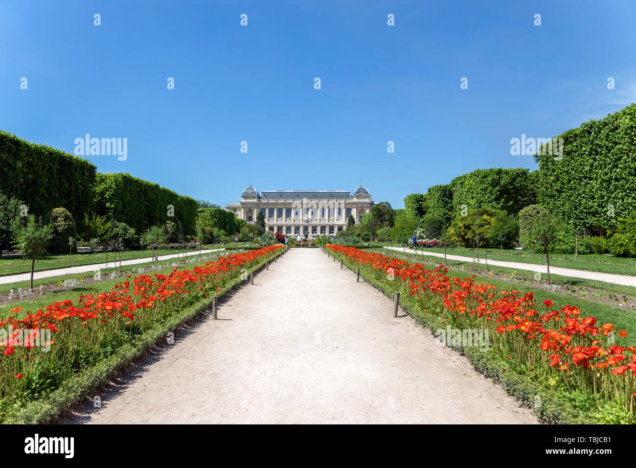 Jardin des Plantes in Paris Stockfoto
