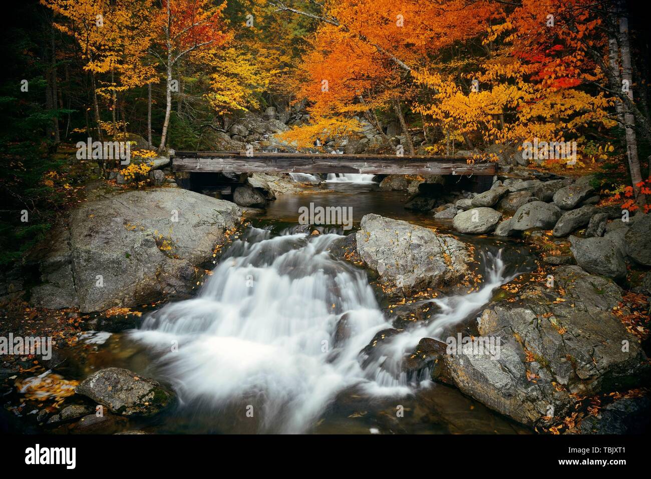 Bunte Herbst Bach Brücke, am weißen Berg, Newhampshire. Stockfoto