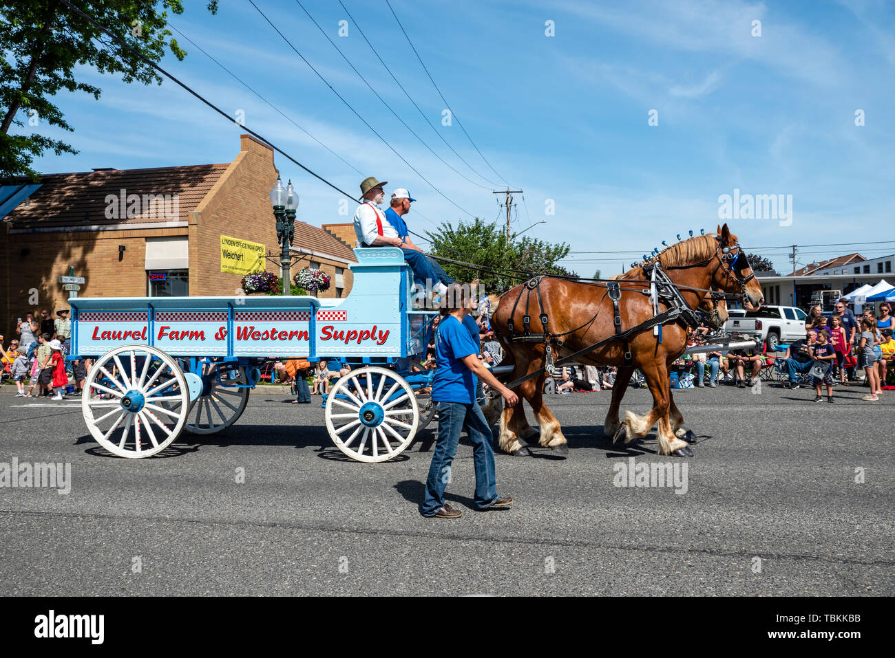 Laurel Hof & Western- Wagen im Jahr 2019 Lynden Landwirte Day Parade. Lynden, Washington Stockfoto