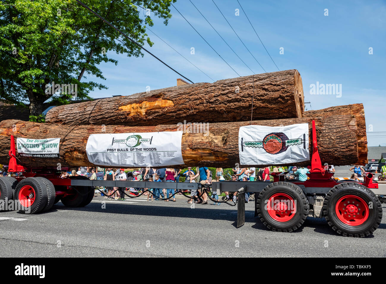 Gesamtpuffer für die deming Logging zeigen Märsche im Jahr 2019 Lynden Landwirte Day Parade. Lynden, Washington Stockfoto