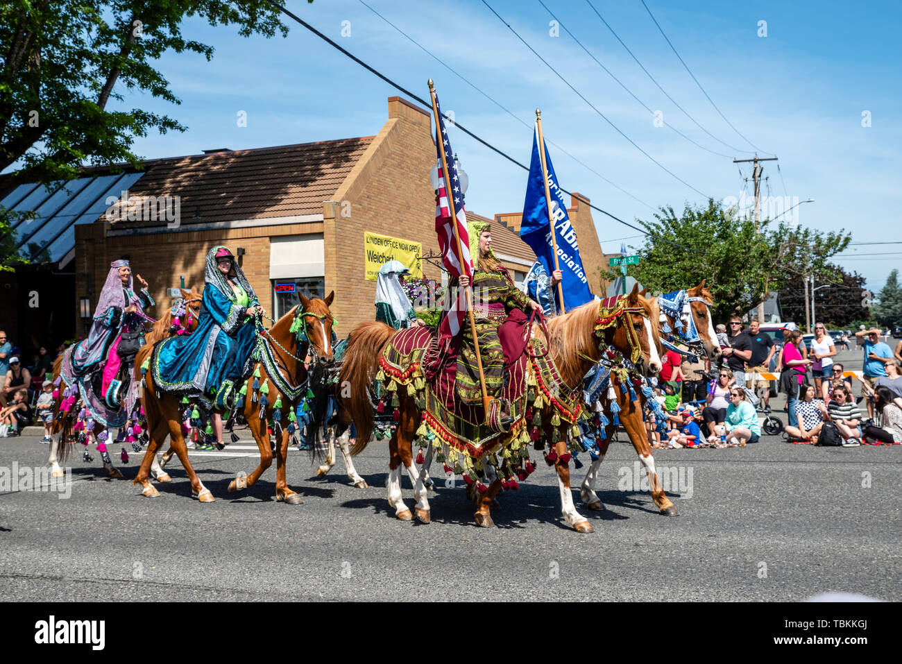 Reiterin des Nordwesten Washington Arabian Horse Association im März 2019 Lynden Landwirte Day Parade. Lynden, Washington Stockfoto