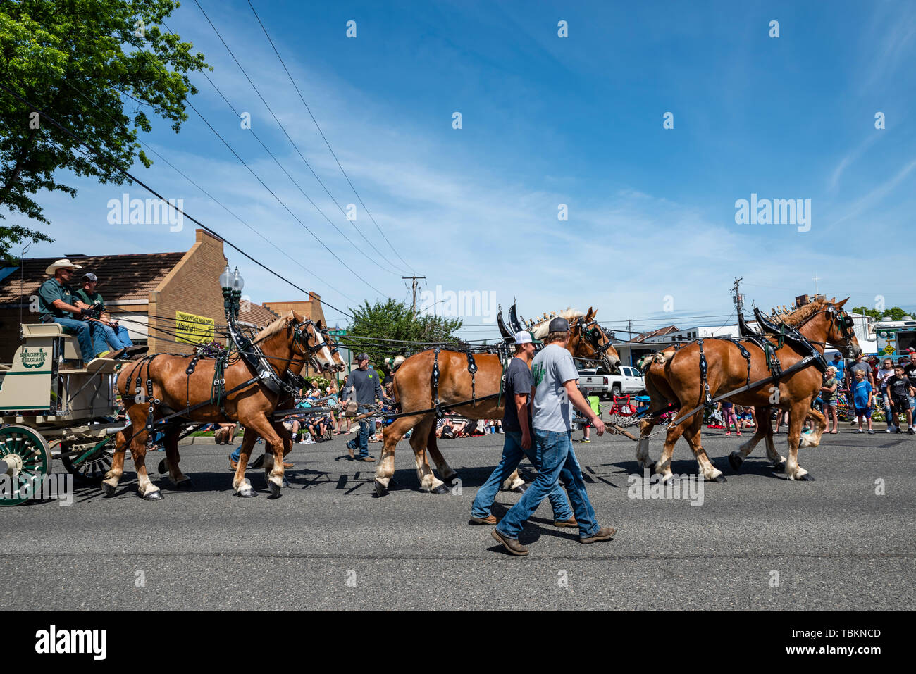 Von Pferden gezogene Wagen von Nordwesten Propan Umsatz im 2019 Lynden Landwirte Day Parade. Lynden, Washington Stockfoto