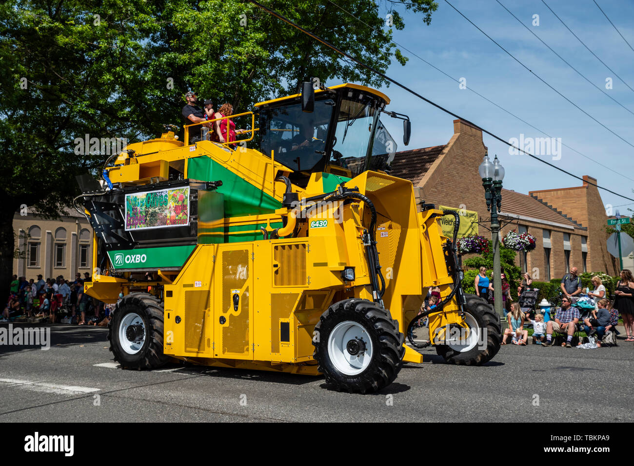 Berry Erntemaschinen aus oxbo Unternehmen im 2019 Lynden Landwirte Day Parade. Lynden, Washington Stockfoto