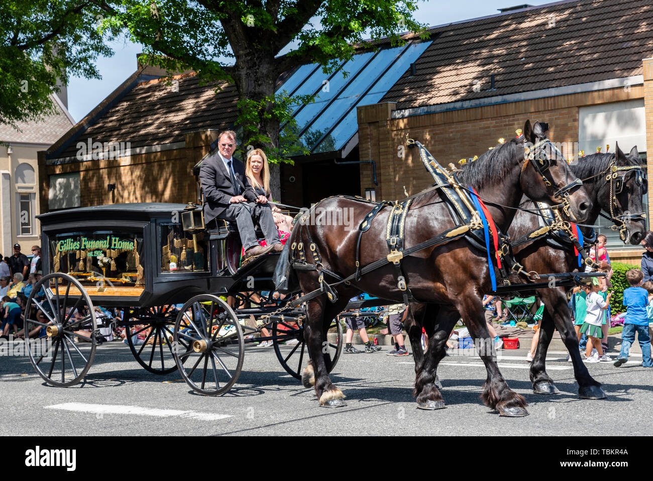 Pferden gezogenen Leichenwagen von Gillies Bestattungsunternehmen in der 2019 Lynden Landwirte Day Parade. Lynden, Washington Stockfoto