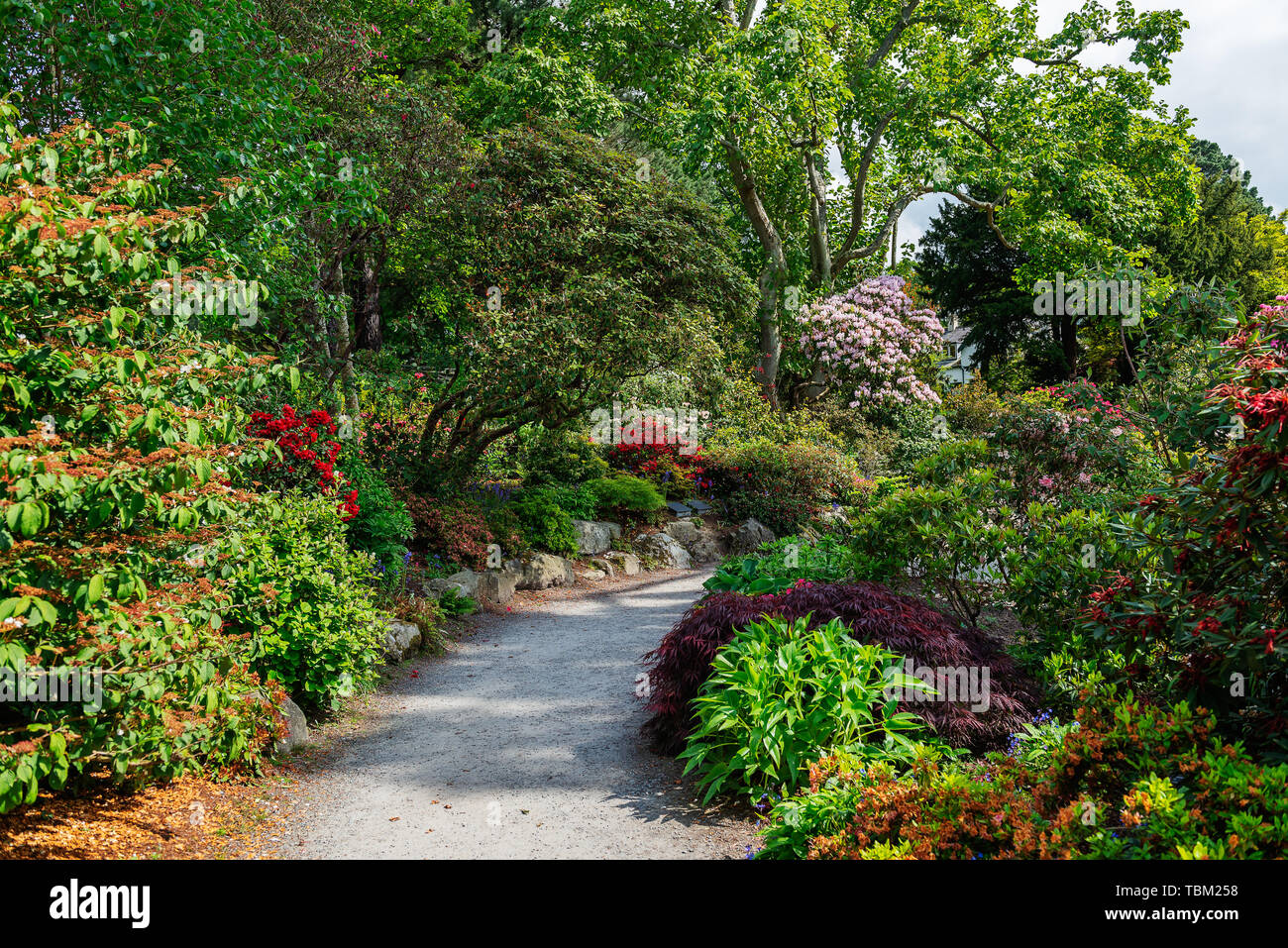 Schoner Garten Mit Bluhenden Baume Im Fruhling Wales