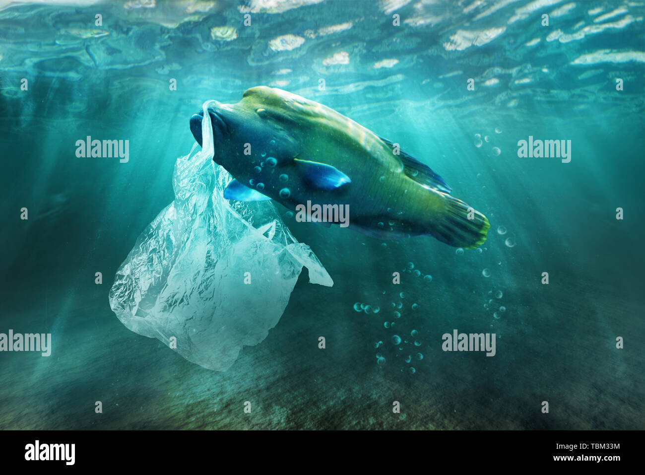 Kunststoff Verschmutzung im Ozean Umweltproblem. Fische können Plastiktüten essen. Stockfoto