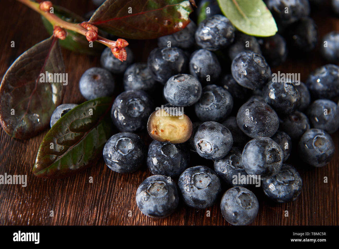 Noch fotografische Bilder von Kirschen und Heidelbeeren Stockfoto