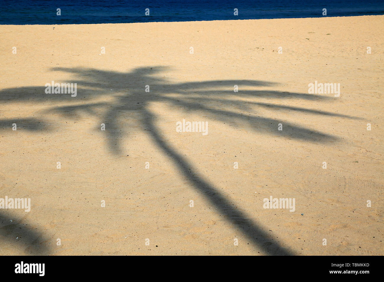 Schatten der Palme verfolgt am Sandstrand Nilavelli, in der Nähe von Trincomalee, östlichen Provinz, Sri Lanka, Asien Stockfoto