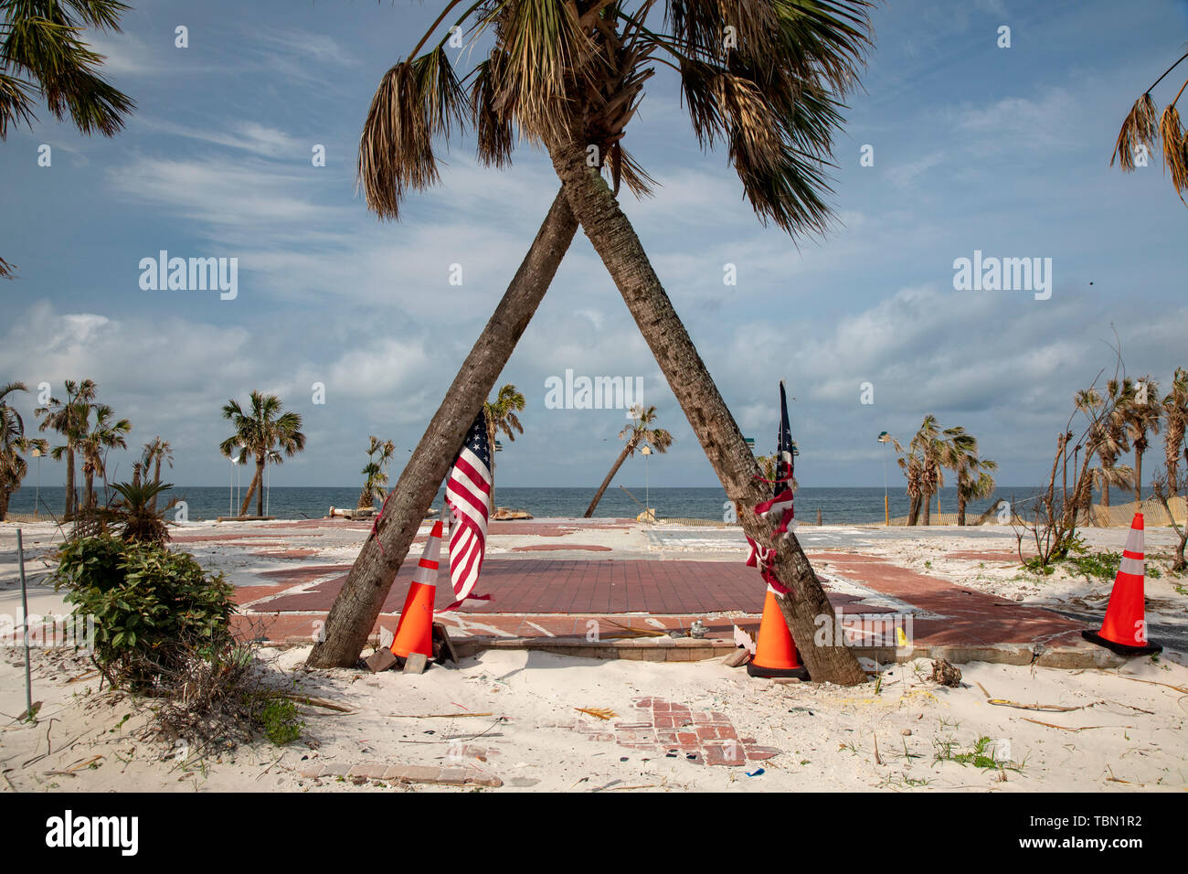 Mexiko Strand, Florida - Zerstörung von Hurrikan Michael ist sieben Monate weit verbreitet Nach der Kategorie 5 Sturm im Florida Panhandle. Palmen Stockfoto