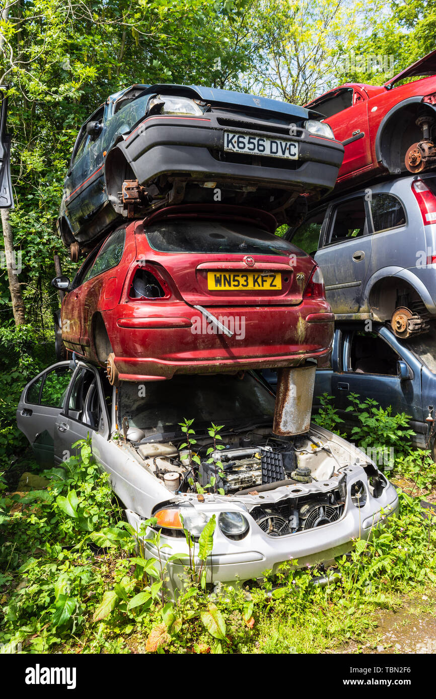 Ein Stapel von 3 Autos teilweise in einem Leistungsschalter Schrottplatz mit Unkraut und Vegetation wächst um sie demontiert Stockfoto