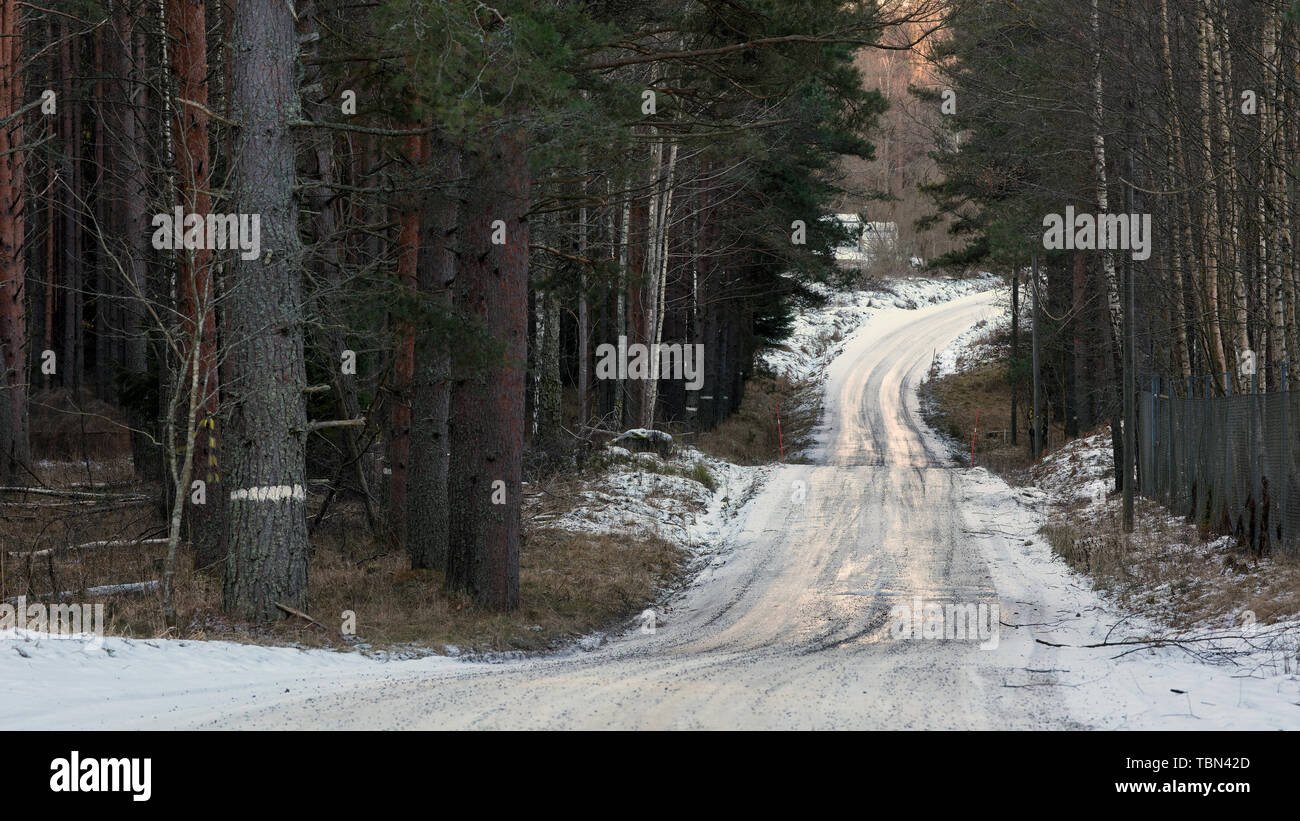 Waldweg im Bogesundslandet, in der Nähe von Vaxholm, Schweden Stockfoto