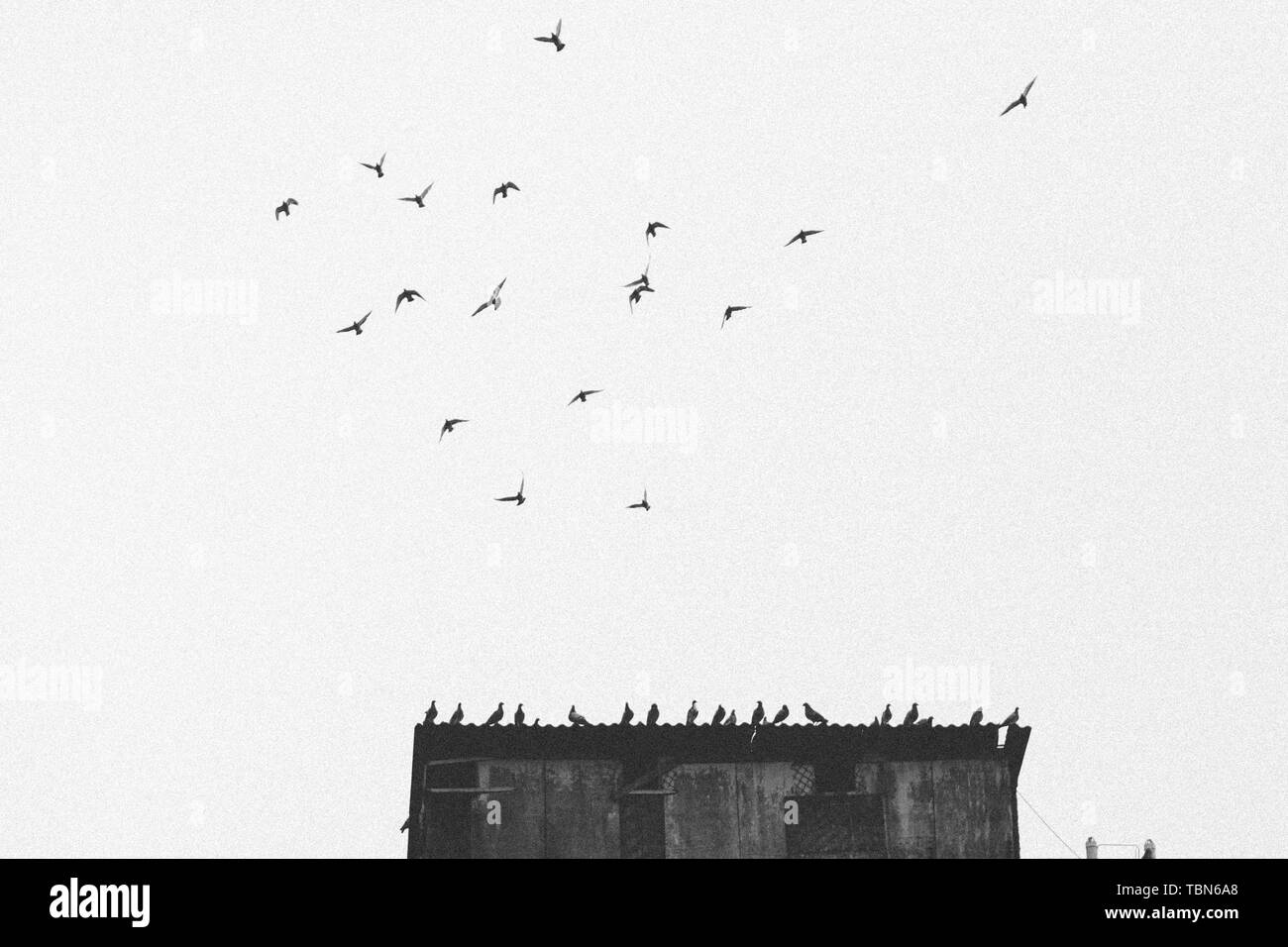 Hier ist Chengdu Stockfoto