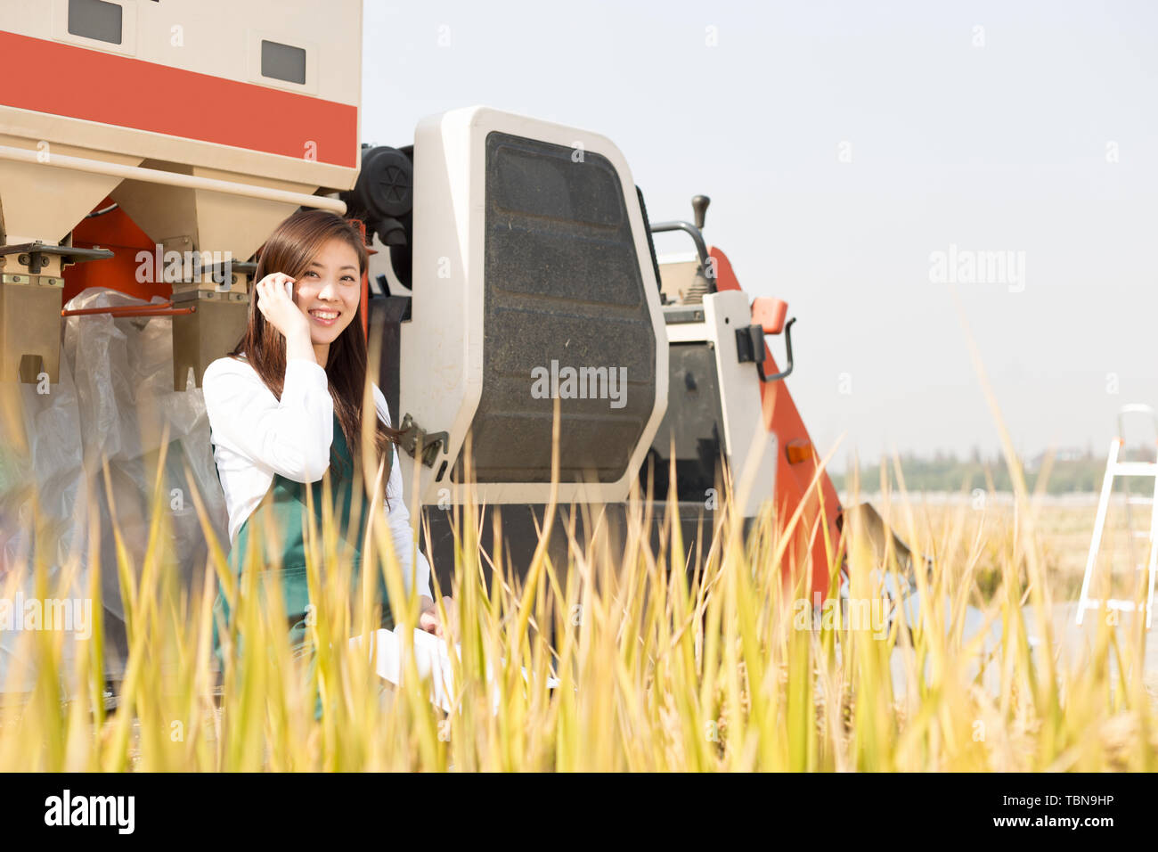 Junge chinesische Frau agonomist in goldenen Müsli Feld mit kleinen Harvester Stockfoto