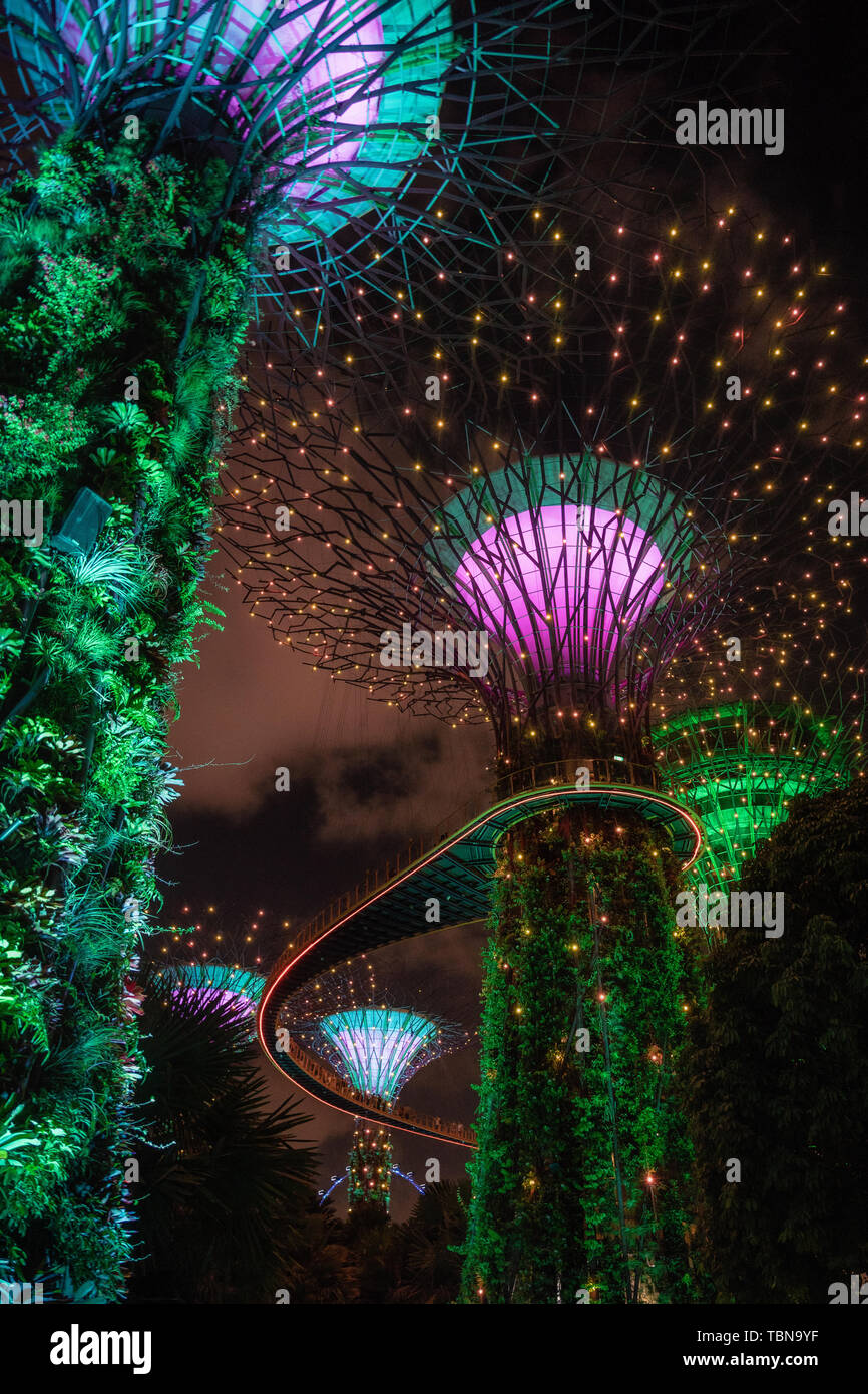 Singapur - April 2, 2018: Licht der riesigen Bäume im Garten durch die Bucht bei Nacht in Singapur. Stockfoto
