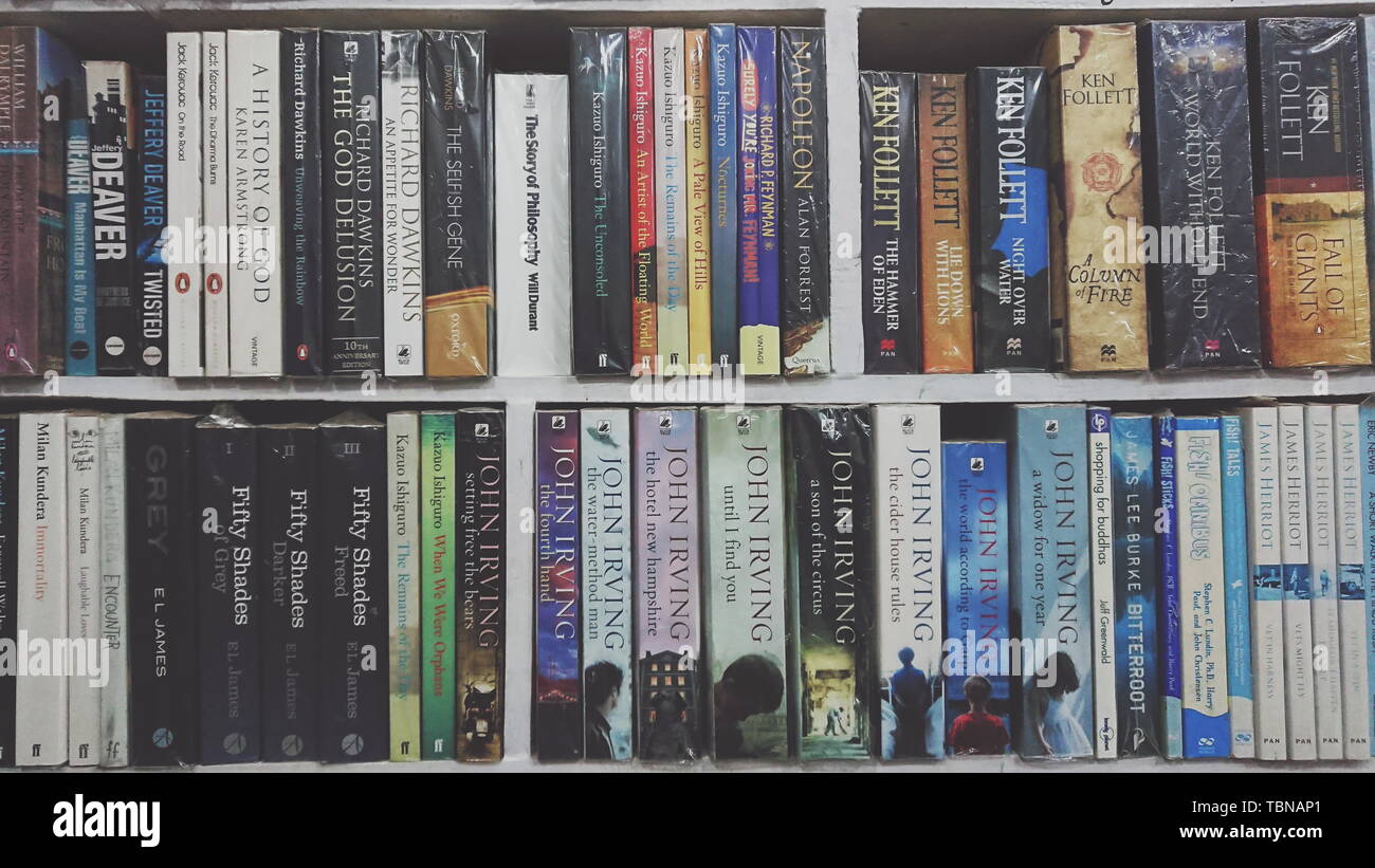 Fox's Weg zur Fotografie. Stockfoto