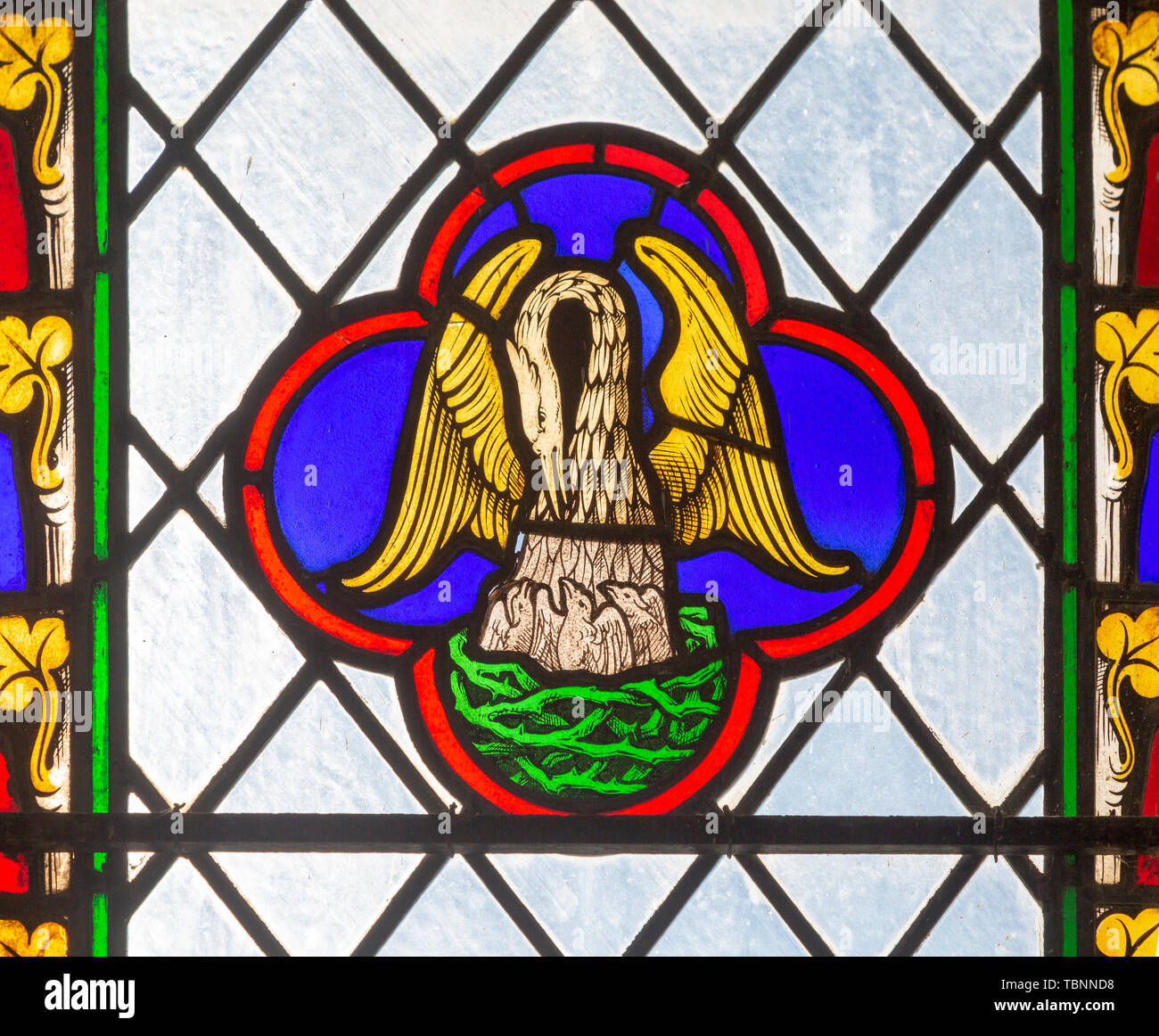 Nahaufnahme des 19. Jahrhunderts Glasfenster in der Kirche des Hl. Andreas, Wissett, Suffolk, England, UK-Pelican Fütterung junger Stockfoto