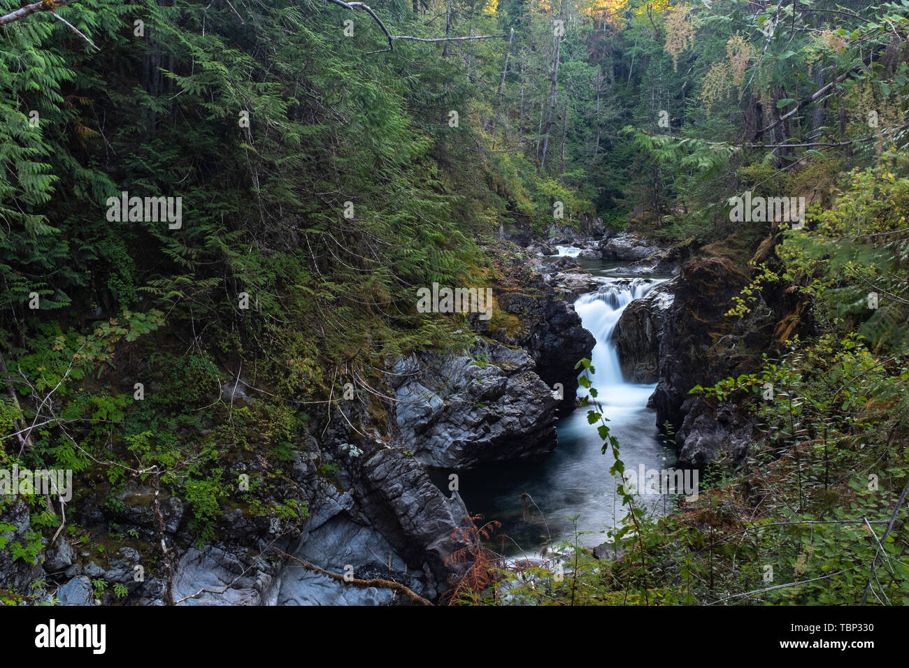 Eine Landschaft Aspekt von Qualicum Fluß rauscht durch die Schlucht im Little Qualicum Provincial Park, Vancouver Island, Kanada Erstellen von kleinen Wasserfällen, Stockfoto