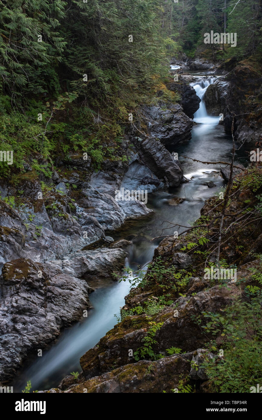 Ein Porträt Aspekt von Qualicum Fluß rauscht durch die Schlucht im Little Qualicum Provincial Park, Vancouver Island, Kanada Erstellen von kleinen Wasserfällen, Stockfoto