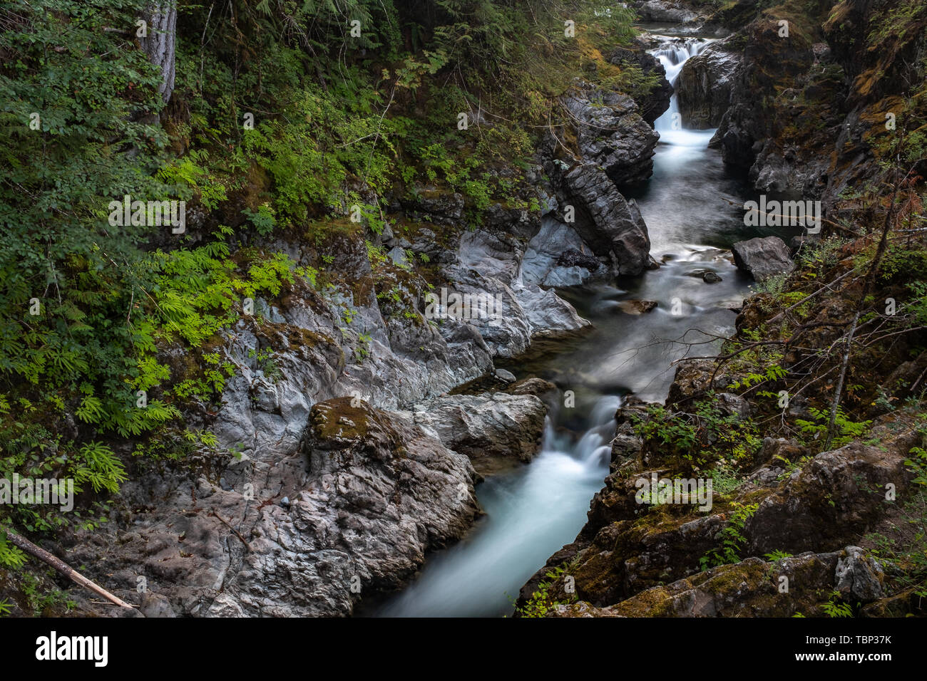 Eine Landschaft Aspekt von Qualicum Fluß rauscht durch die enge Schlucht im Little Qualicum Provincial Park, Vancouver Island, Kanada erstellen kleine Wate Stockfoto