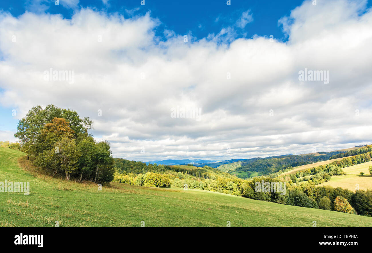 Bewölkt september Landschaft in den Bergen. Laubbäume auf der grünen Wiese. Wolken am blauen Himmel abdecken. windiges Wetter Stockfoto