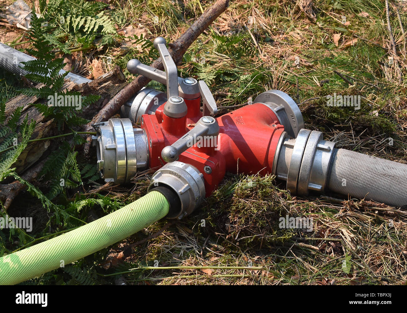 03 Juni 2019, Berlin: eine Wasser Verteiler ist im Grunewald entfernt. Nach Angaben der Feuerwehr, rund 40000 Quadratmeter Waldboden verbrannt. Foto: Bernd Settnik/dpa-Zentralbild/dpa Stockfoto