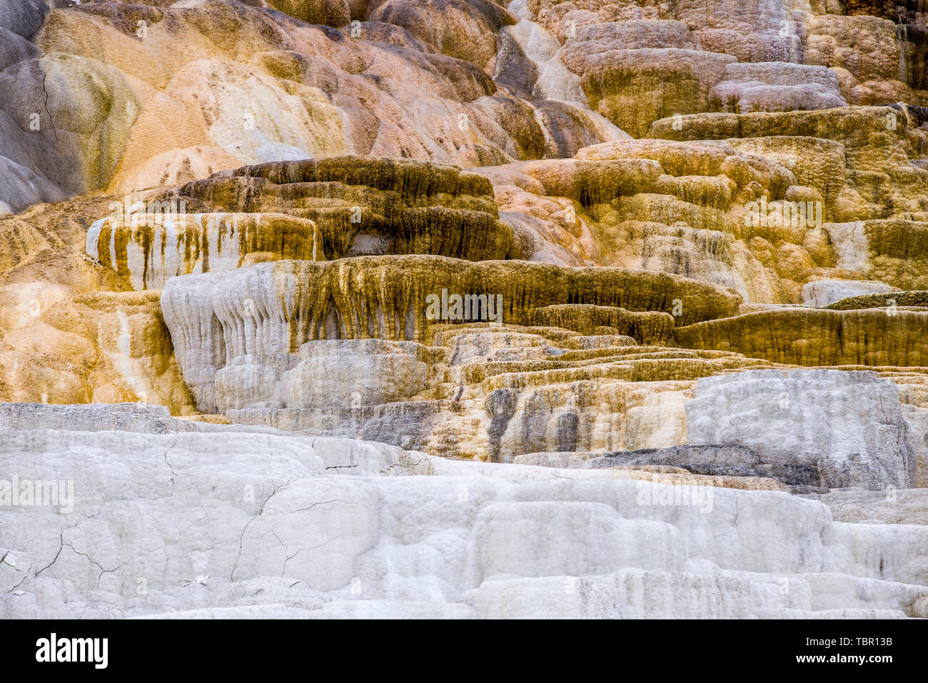 Abstraktes Bild der Kalzium- und Mineralvorkommen in Mammoth hostsprings im Yellowstone National Park. Stockfoto