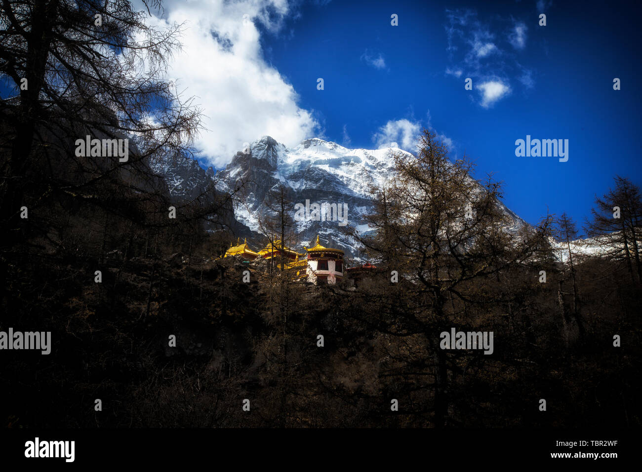 Taocheng Shenshan Stockfoto