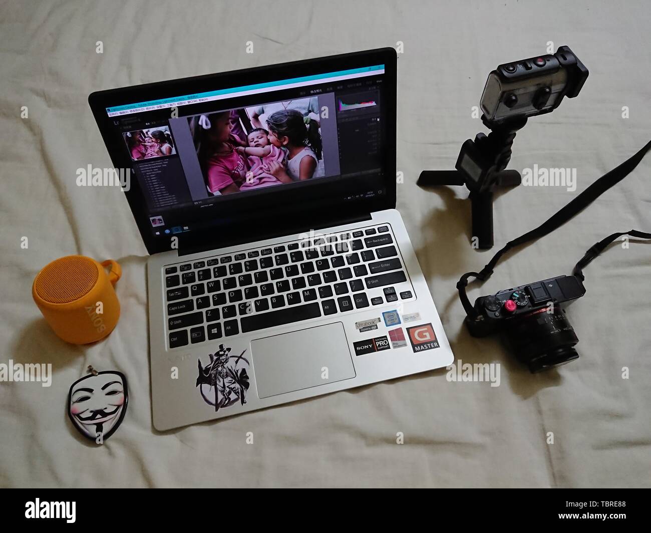 Fox's Weg zur Fotografie. Stockfoto