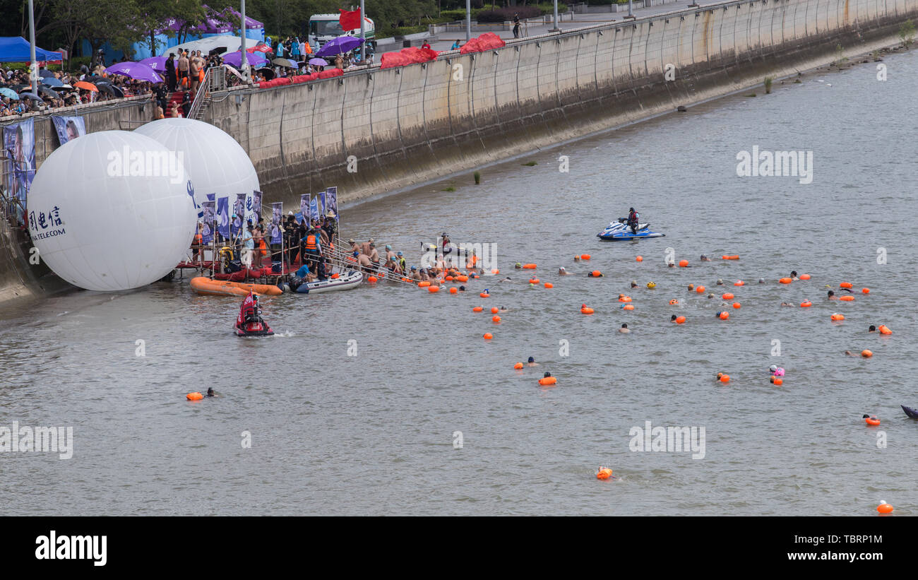 Am Morgen des 18. August die jährliche Cross-Fluss Qiantang Veranstaltung wurde auf der Flussseite des städtischen Balkon von qianjiang neue Stadt, Hangzhou City statt. Fast 1.500 Schwimmer wird inkarniert werden "Weiße Streifen in den Wellen", geschrieben in Ihren schwimmen Körperhaltung" bis die Flut Stand. "Der Geist. Stockfoto