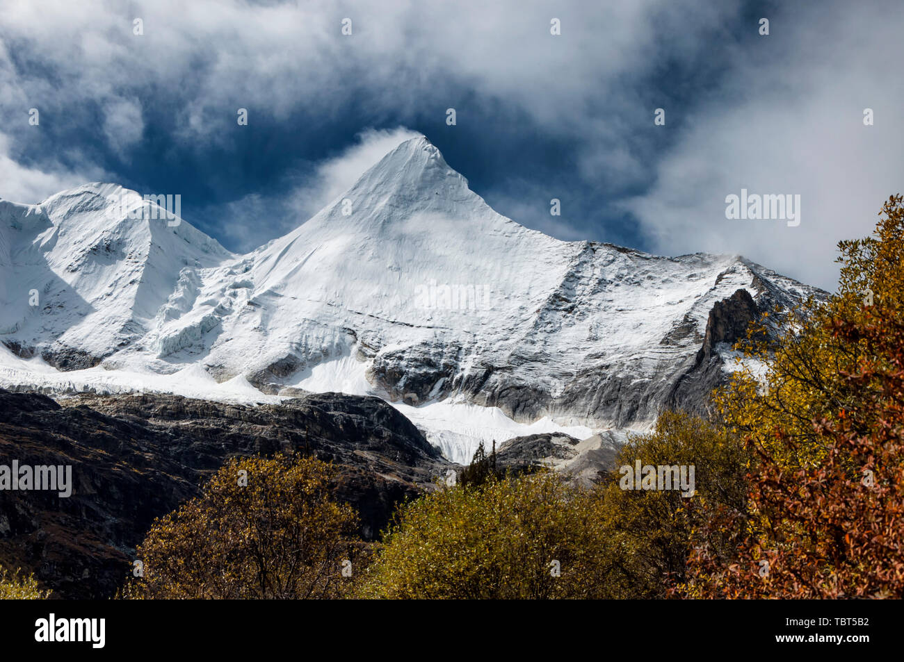Mai taocheng Aden Yang Yong Shenshan Stockfoto