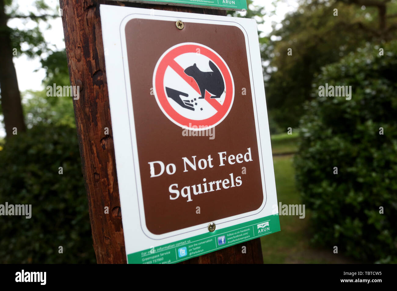 Ein Nicht Füttern Eichhörnchen Anmelden Hotham Park, Chichester, West Sussex, UK. Stockfoto