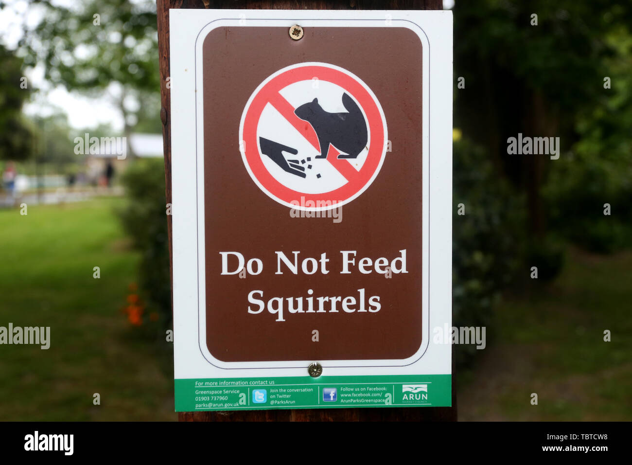 Ein Nicht Füttern Eichhörnchen Anmelden Hotham Park, Chichester, West Sussex, UK. Stockfoto