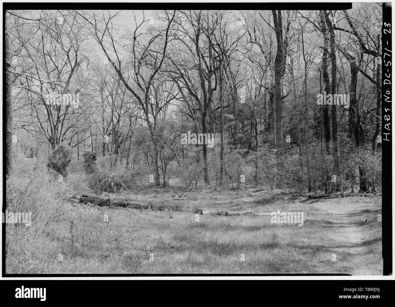 Wiese, Blick nach Osten mit STREAM ARBOR AUF DER RECHTEN 1988 Dumbarton Oaks Park, Thirtysecond und R Straßen Northwest, Washington, District of Columbia, DC Stockfoto