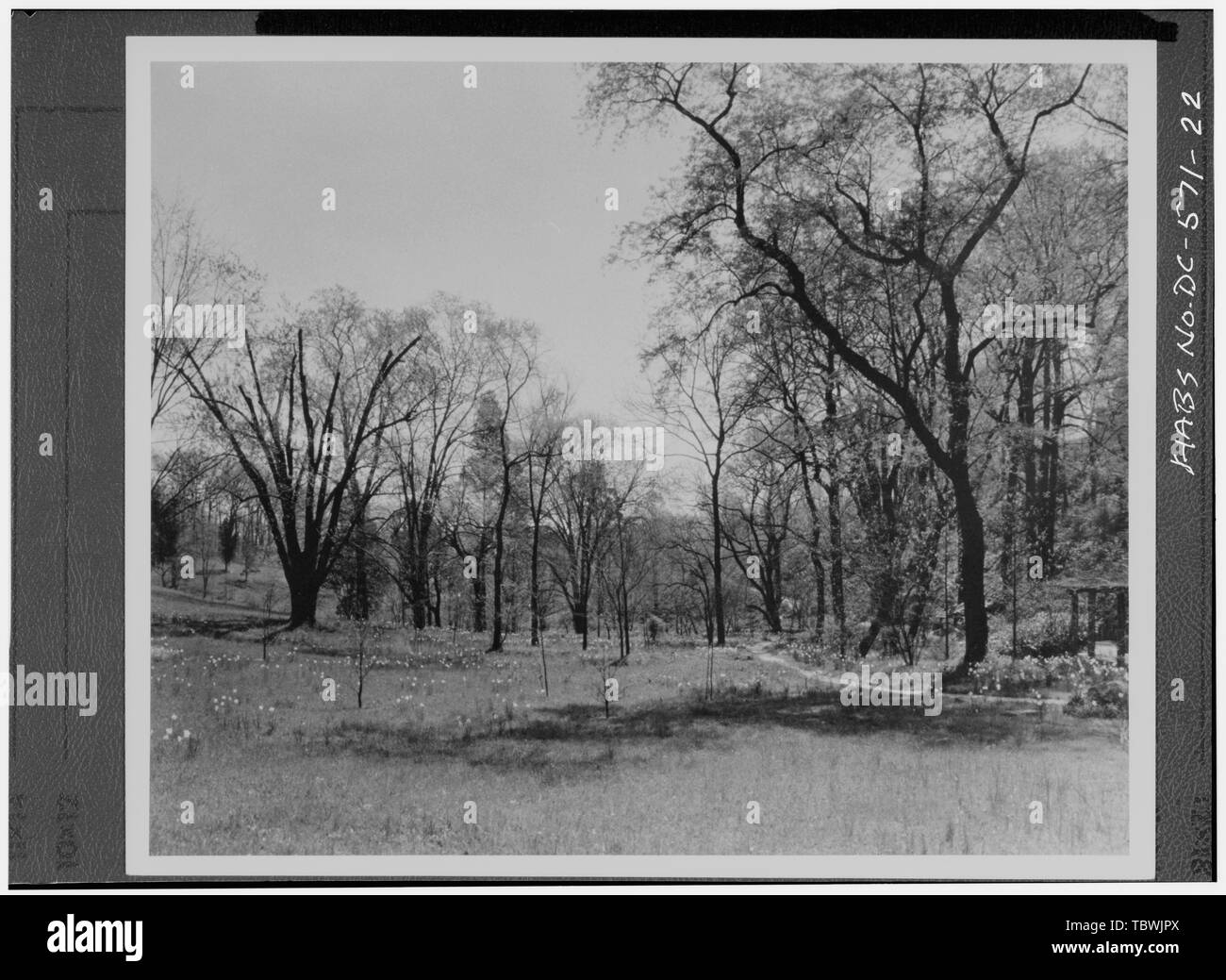 Wiese, Blick nach Osten mit STREAM ARBOR AUF DER RECHTEN Fotokopie der Fotographie, 1930er Jahre National Park Service, National Capital Region dateien Dumbarton Oaks Park, Thirtysecond und R Straßen Northwest, Washington, District of Columbia, DC Stockfoto