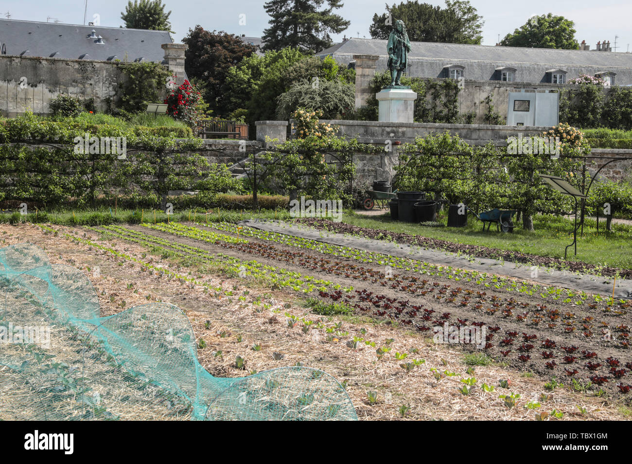 KÜCHENGARTEN DES KÖNIGS, VERSAILLES FRANKREICH Stockfoto